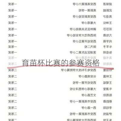 育苗杯比赛的参赛资格