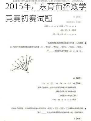2015年广东育苗杯数学竞赛初赛试题