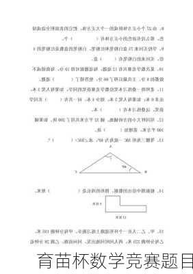 育苗杯数学竞赛题目