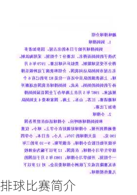 排球比赛简介