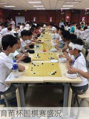 育苗杯围棋赛盛况