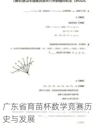 广东省育苗杯数学竞赛历史与发展