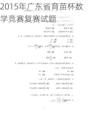 2015年广东省育苗杯数学竞赛复赛试题