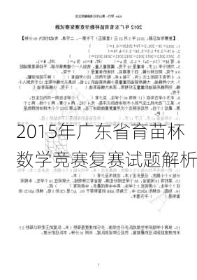 2015年广东省育苗杯数学竞赛复赛试题解析