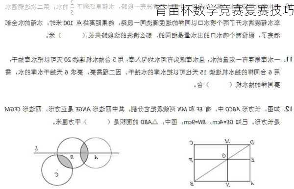 育苗杯数学竞赛复赛技巧