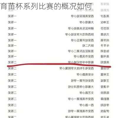 育苗杯系列比赛的概况如何