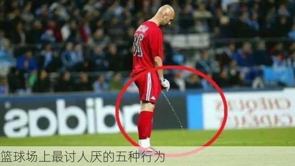 篮球场上最讨人厌的五种行为