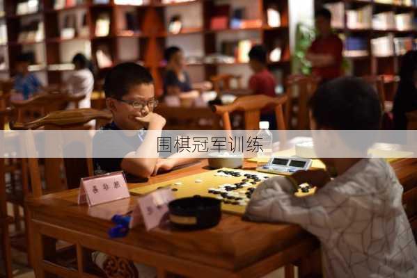 围棋冠军训练