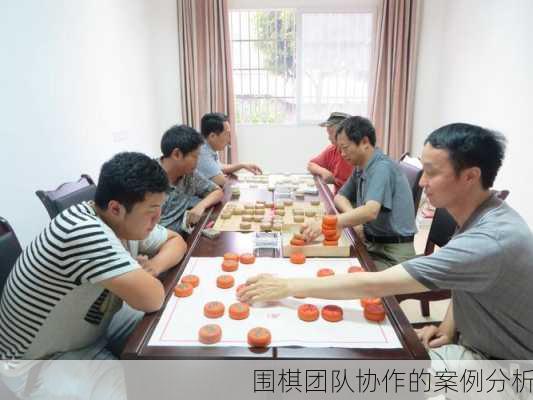 围棋团队协作的案例分析