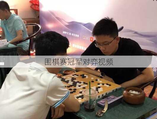 围棋赛冠军对弈视频