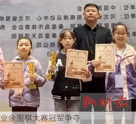 业余围棋大赛冠军争夺