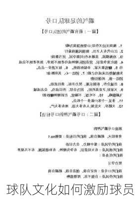 球队文化如何激励球员