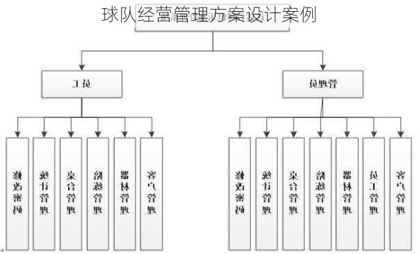 球队经营管理方案设计案例