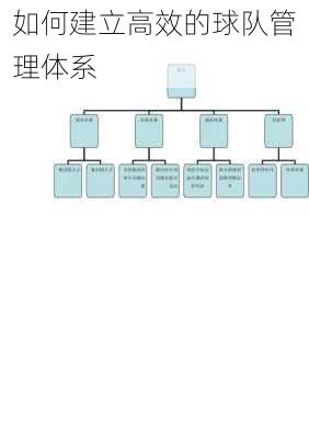 如何建立高效的球队管理体系