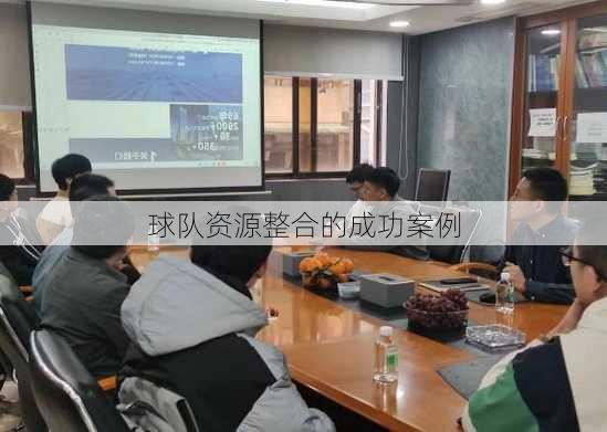 球队资源整合的成功案例