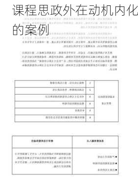 课程思政外在动机内化的案例