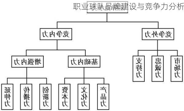 职业球队品牌建设与竞争力分析