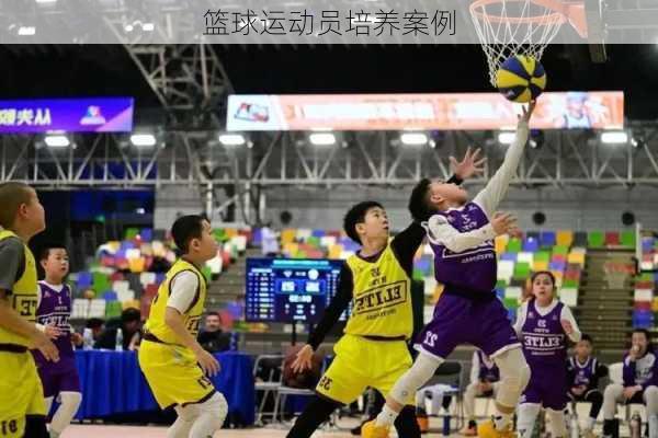 篮球运动员培养案例
