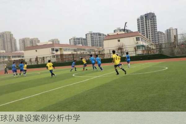 球队建设案例分析中学