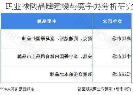 职业球队品牌建设与竞争力分析研究