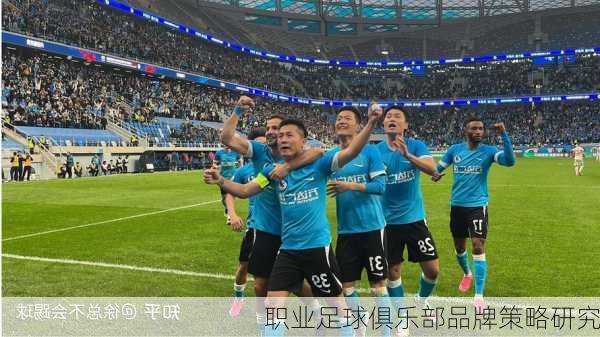 职业足球俱乐部品牌策略研究