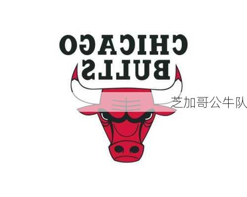 芝加哥公牛队