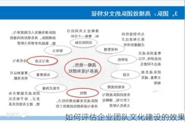 如何评估企业团队文化建设的效果