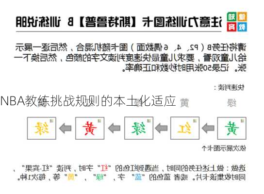 NBA教练挑战规则的本土化适应