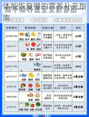 体能恢复慢的营养补充指南