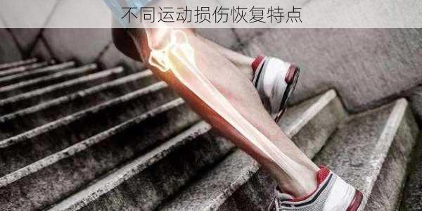 不同运动损伤恢复特点