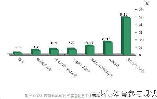 青少年体育参与现状