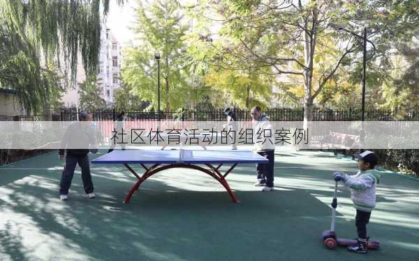 社区体育活动的组织案例
