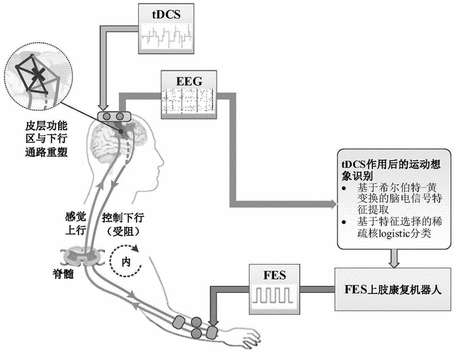 物理治疗原理