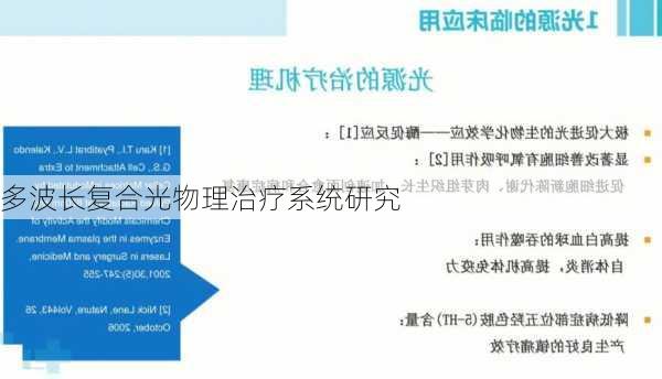 多波长复合光物理治疗系统研究