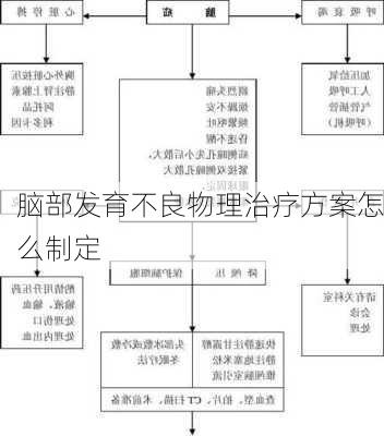 脑部发育不良物理治疗方案怎么制定