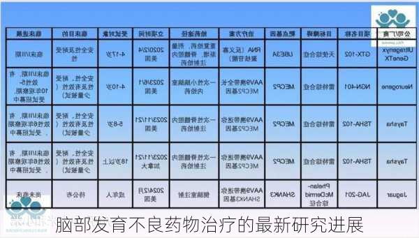 脑部发育不良药物治疗的最新研究进展