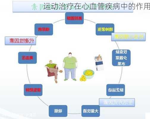运动治疗在心血管疾病中的作用
