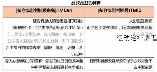 运动治疗原理