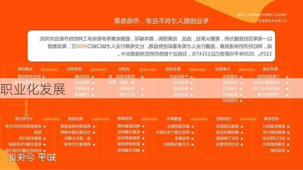 职业化发展