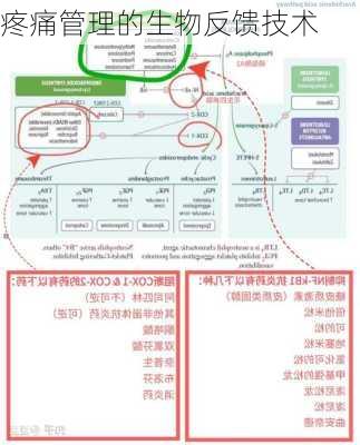 疼痛管理的生物反馈技术