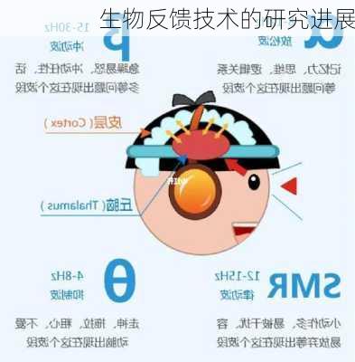 生物反馈技术的研究进展