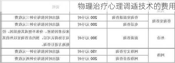 物理治疗心理调适技术的费用