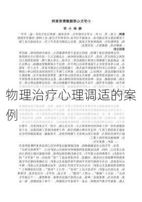 物理治疗心理调适的案例