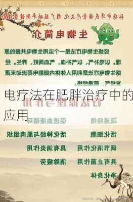 电疗法在肥胖治疗中的应用