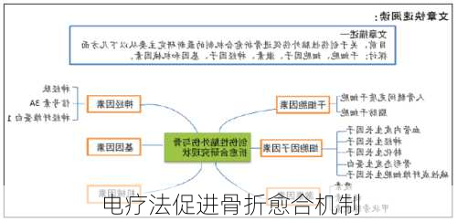 电疗法促进骨折愈合机制