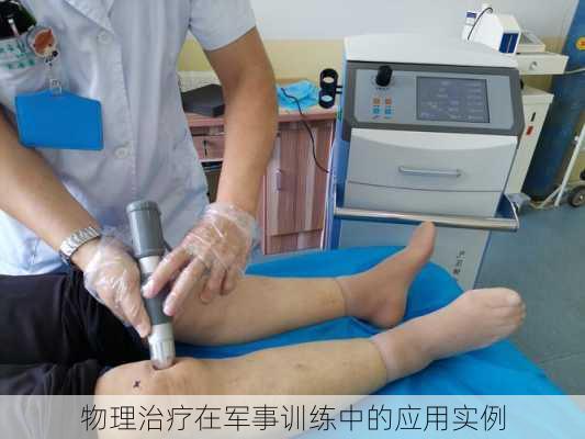 物理治疗在军事训练中的应用实例