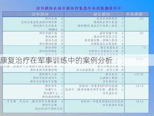 康复治疗在军事训练中的案例分析