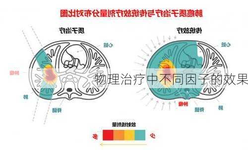 物理治疗中不同因子的效果