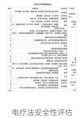 电疗法安全性评估