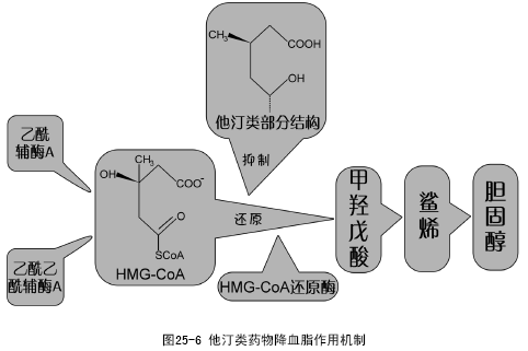 药物治疗原理